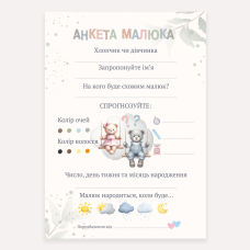 Анкета-гра на гендер паті, розваги на гендер паті, А5